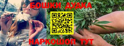 молекула духа Новодвинск