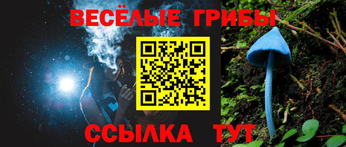 Соликамск  Псилоцибиновые грибы мухоморы  даркнет сайт  Псилоцибиновые грибы Psilocybe  Вход с VPN 