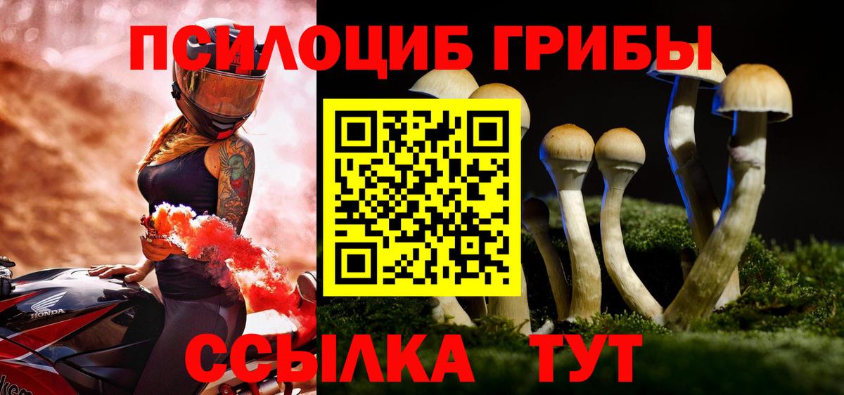 Галлюциногенные грибы Psilocybine cubensis Соликамск