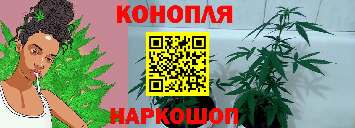 Соликамск  Бошки Шишки план  МАРИХУАНА AK-47  Шишки марихуана AK-47  Конопля Amnesia  Вход с VPN 